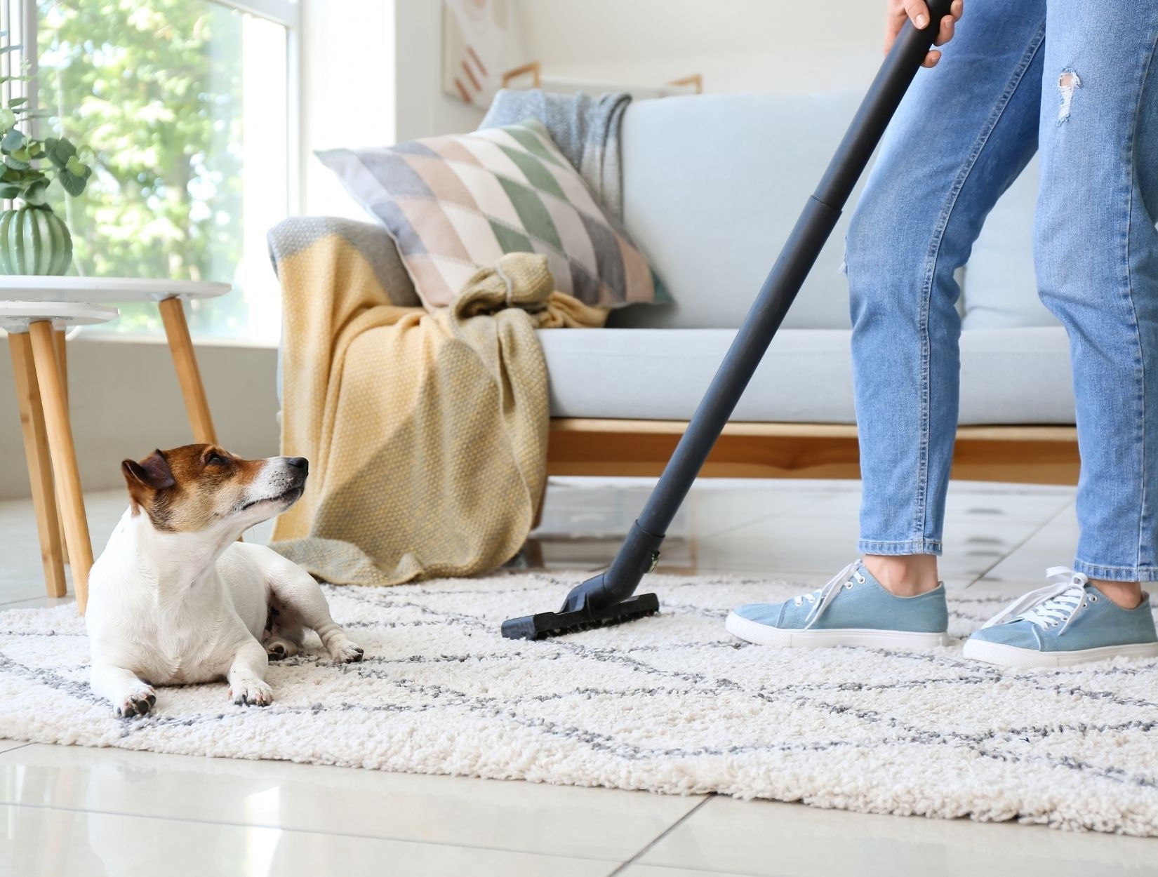 Best 10 one time cleaning services in North NJ